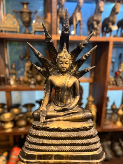 Buddha Muchalinda
